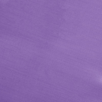 Ткань подкладочная Таффета 16-3823, антист., 53 гр/м2, шир.150см, цвет св.фиолет - купить в Архангельске. Цена 57.16 руб.