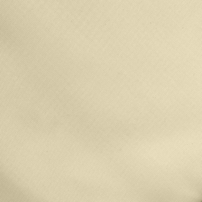 Ткань подкладочная Таффета 14-1014, антист., 53 гр/м2, шир.150см, цвет бежевый - купить в Архангельске. Цена 62.37 руб.