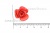 Украшение "Розы малые №1" 20мм - купить в Архангельске. Цена: 32.49 руб.