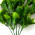 Трава искусственная -1, шт (эвкалипт лист 32 см/8 см)				 - купить в Архангельске. Цена: 169.93 руб.