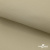 Ткань подкладочная TWILL 230T 14-1108, беж светлый 100% полиэстер,66 г/м2, шир.150 cм - купить в Архангельске. Цена 90.59 руб.