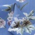 Плательная ткань "Фламенко" 12.1, 80 гр/м2, шир.150 см, принт растительный - купить в Архангельске. Цена 241.49 руб.