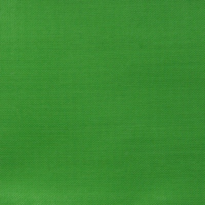 Ткань подкладочная Таффета 17-6153, 48 гр/м2, шир.150см, цвет трава - купить в Архангельске. Цена 54.64 руб.