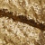 Сетка с пайетками №3, 188 гр/м2, шир.140см, цвет золотой - купить в Архангельске. Цена 454.12 руб.