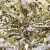 Трикотажное полотно, Сетка с пайетками, шир.130 см, #315, цв.-белый/золото - купить в Архангельске. Цена 693.39 руб.