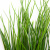 Трава искусственная -4, шт  (осока 50 см/8 см  7 листов)				 - купить в Архангельске. Цена: 130.73 руб.